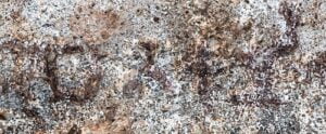 Mention of Satkarni in Hathigumpha inscription. However the image is not clear.